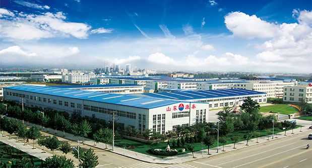 Shandong Kangtai Industry Co., Ltd.